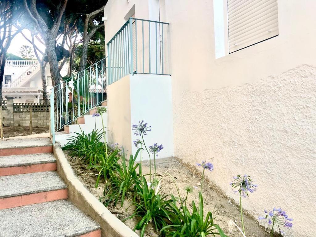 Apartment Luxury Mazagon *