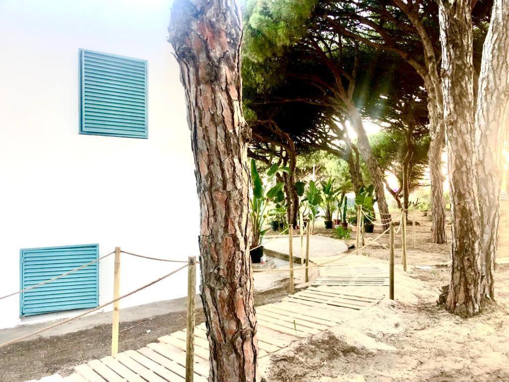 Apartment Luxury Mazagon Palos de la Frontera